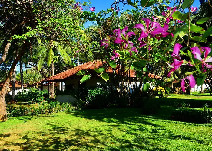 Resort Playa Front 3*