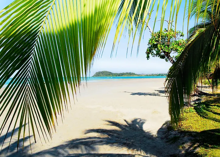 Playa Front Resort 3*